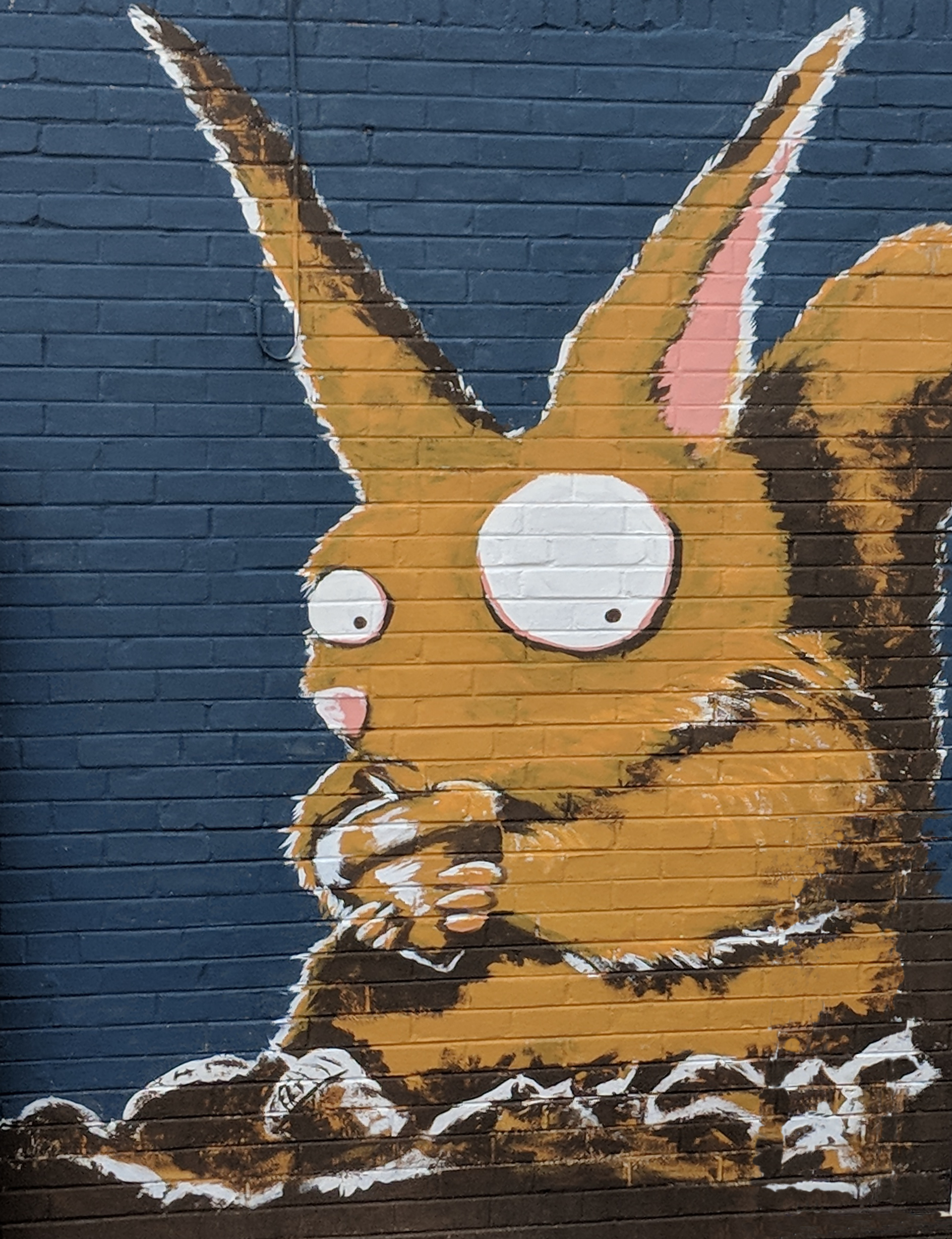 A mural of a squirrel that I painted on my garage.